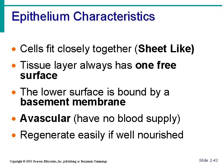 Epithelium Characteristics · Cells fit closely together (Sheet Like) · Tissue layer always has