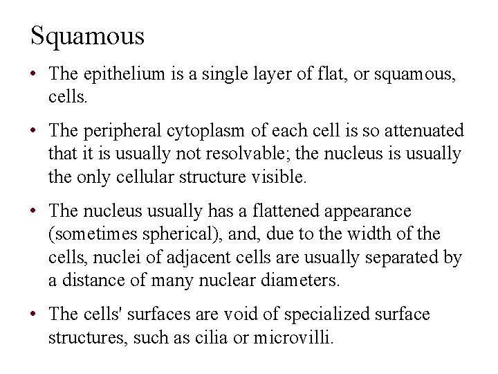 Squamous • The epithelium is a single layer of flat, or squamous, cells. •