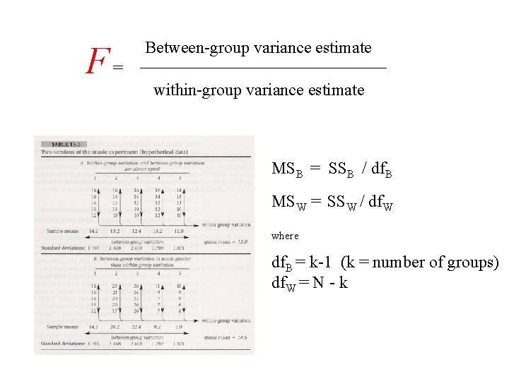 F= Between-group variance estimate within-group variance estimate MSB = SSB / df. B MSW