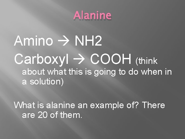 Alanine Amino NH 2 Carboxyl COOH (think about what this is going to do