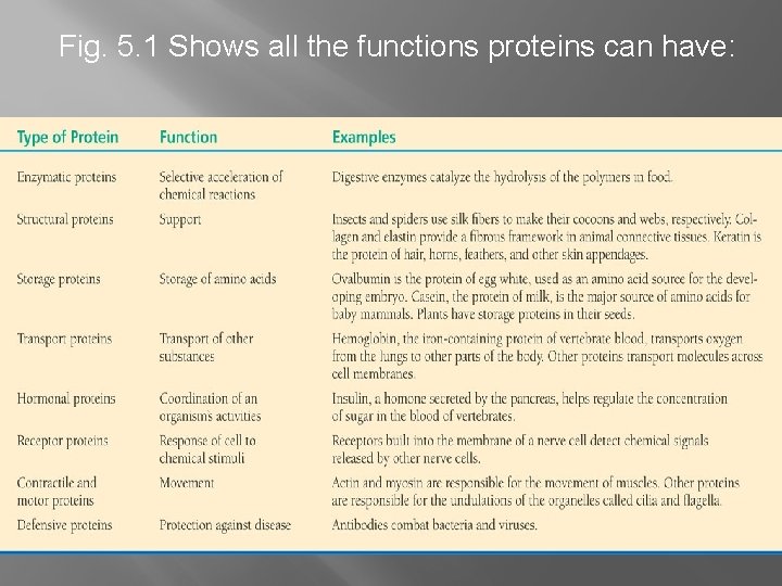 Fig. 5. 1 Shows all the functions proteins can have: 
