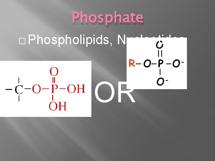 Phosphate � Phospholipids, Nucleotides OR 