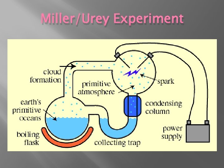 Miller/Urey Experiment 