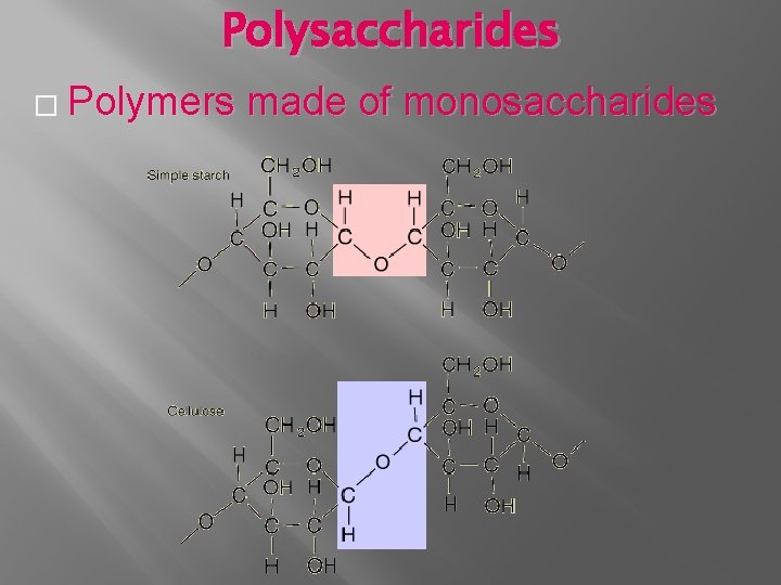 Polysaccharides � Polymers made of monosaccharides 