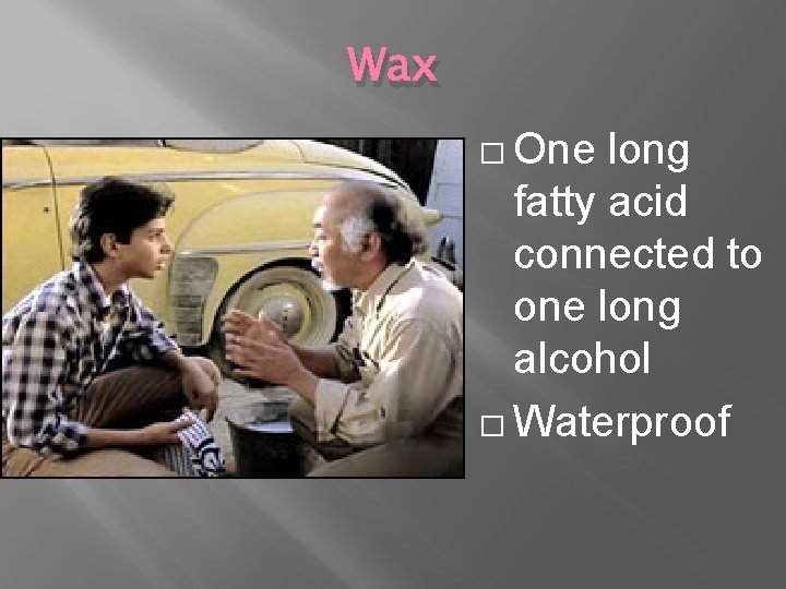 Wax � One long fatty acid connected to one long alcohol � Waterproof 