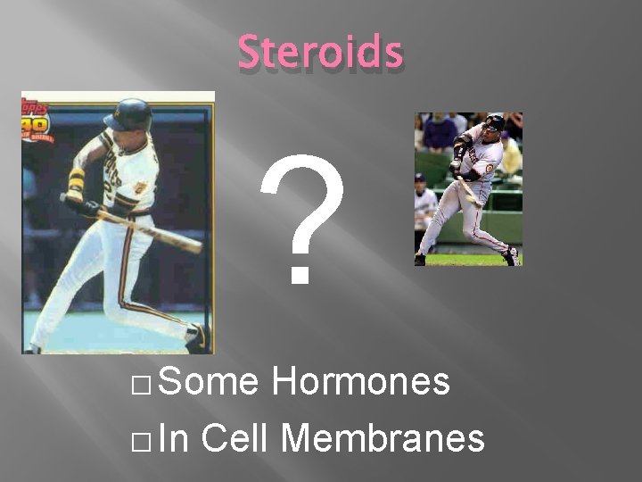 Steroids ? � Some Hormones � In Cell Membranes 