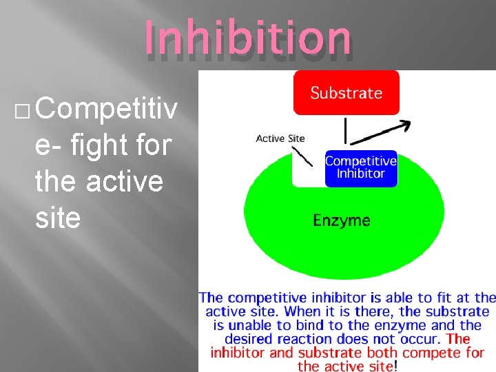 Inhibition � Competitiv e- fight for the active site 