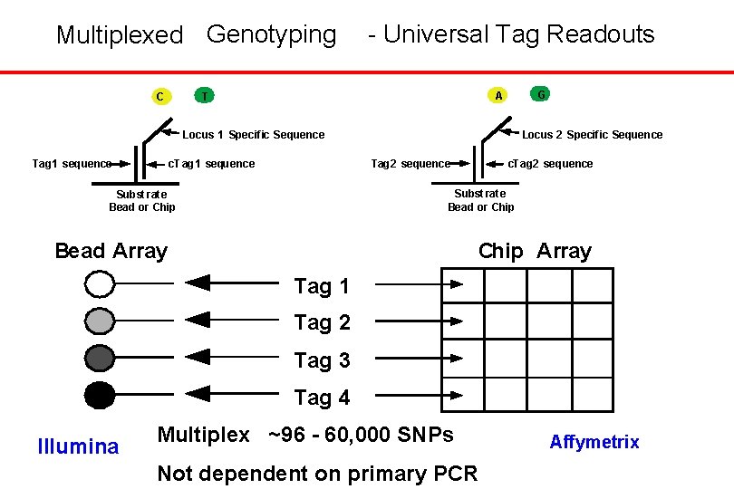 Multiplexed Genotyping C - Universal Tag Readouts G A T Locus 2 Specif ic