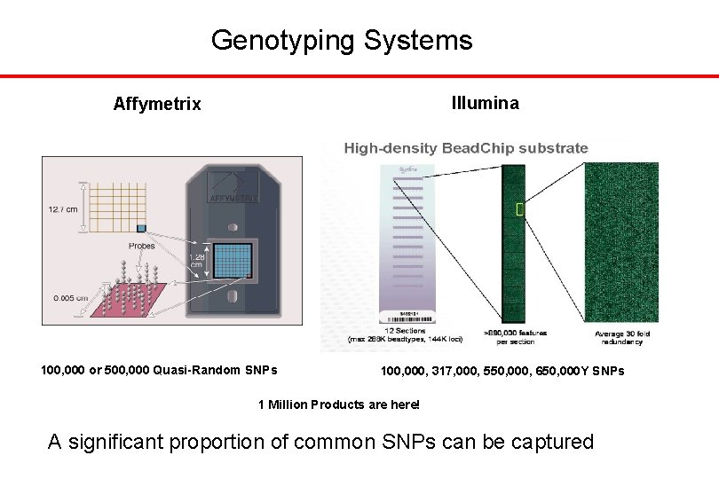Genotyping Systems Illumina Affymetrix 100, 000 or 500, 000 Quasi-Random SNPs 100, 000, 317,