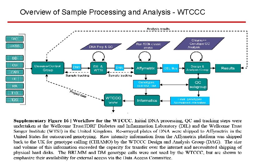 Overview of Sample Processing and Analysis - WTCCC 