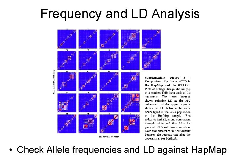 Frequency and LD Analysis European African • Check Allele frequencies and LD against Hap.