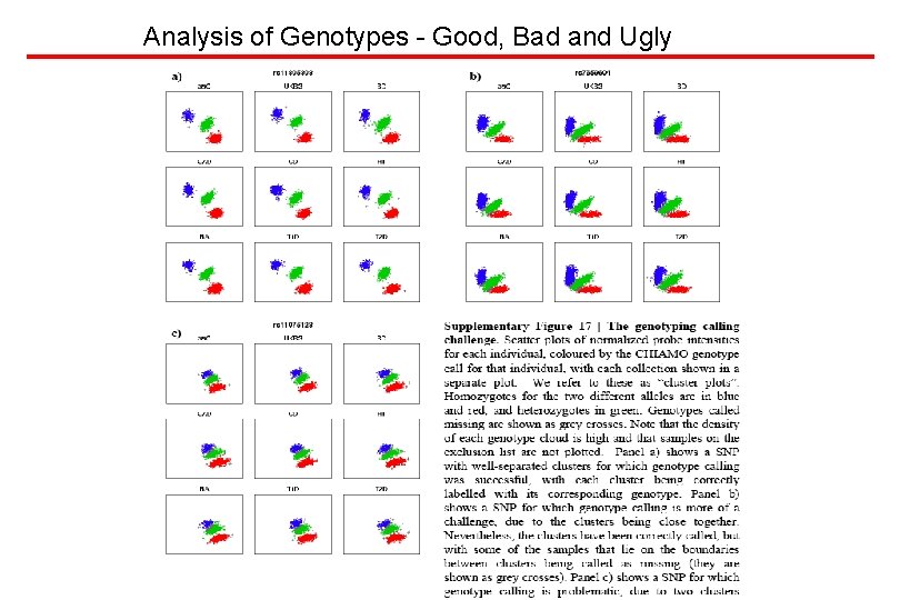 Analysis of Genotypes - Good, Bad and Ugly 