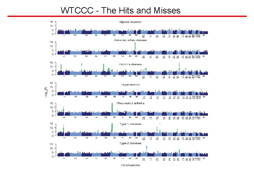 WTCCC - The Hits and Misses 