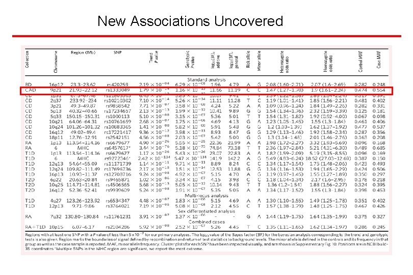 New Associations Uncovered 