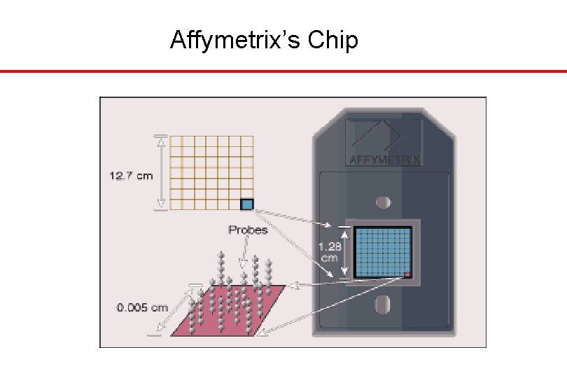 Affymetrix’s Chip 