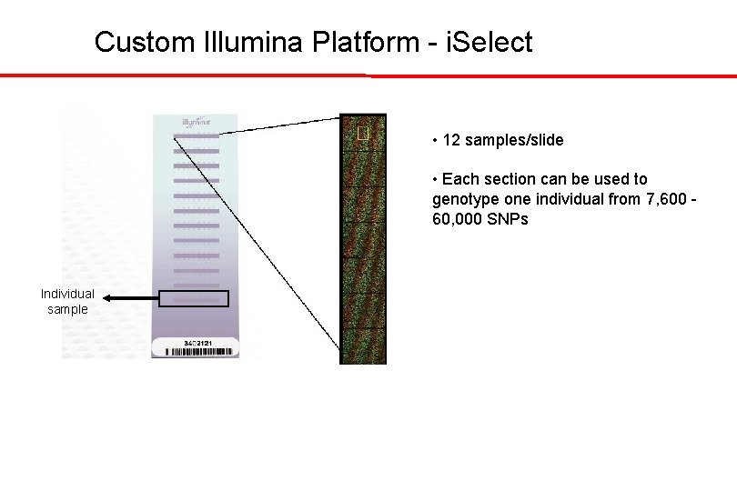Custom Illumina Platform - i. Select • 12 samples/slide • Each section can be