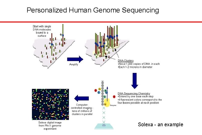 Personalized Human Genome Sequencing Solexa - an example 
