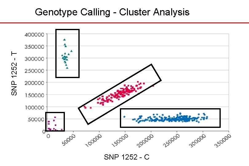 SNP 1252 - T Genotype Calling - Cluster Analysis SNP 1252 - C 