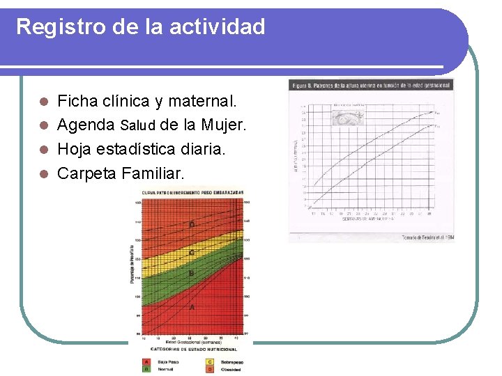 Registro de la actividad Ficha clínica y maternal. l Agenda Salud de la Mujer.