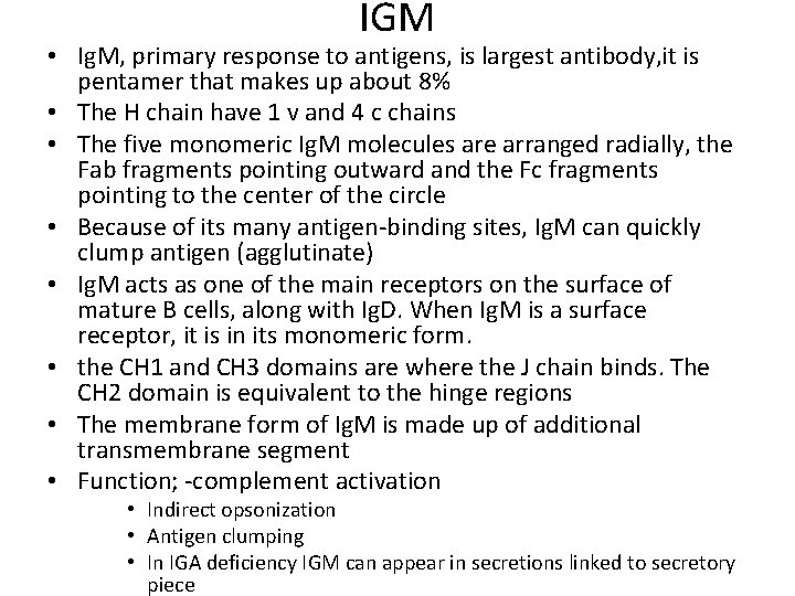 IGM • Ig. M, primary response to antigens, is largest antibody, it is pentamer