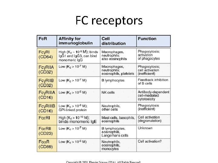 FC receptors 