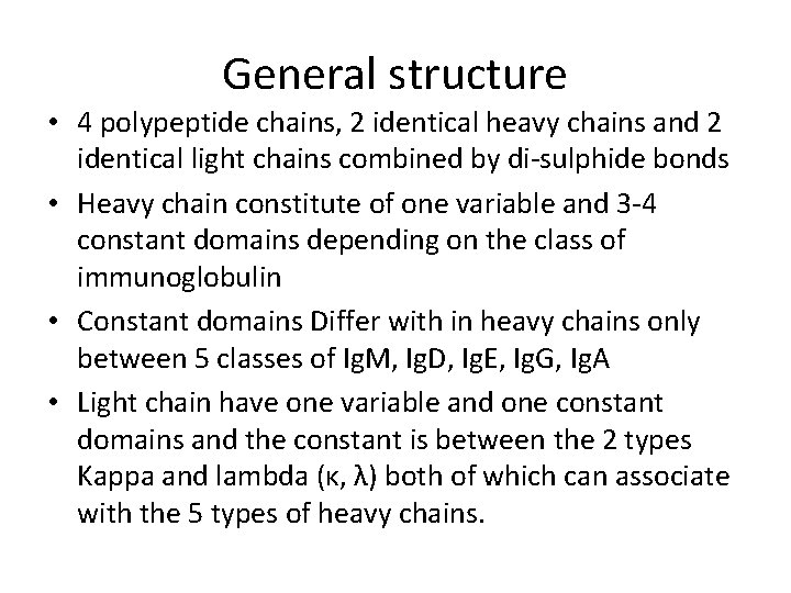 General structure • 4 polypeptide chains, 2 identical heavy chains and 2 identical light