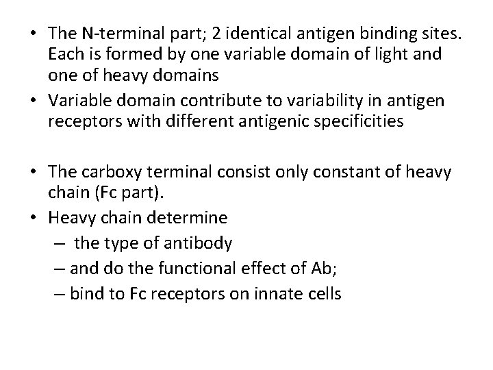  • The N-terminal part; 2 identical antigen binding sites. Each is formed by