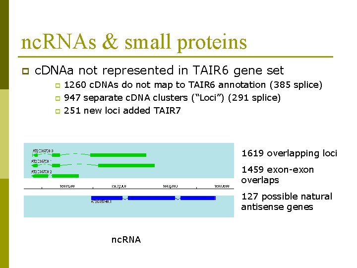 nc. RNAs & small proteins p c. DNAa not represented in TAIR 6 gene