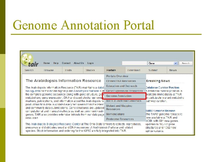Genome Annotation Portal 
