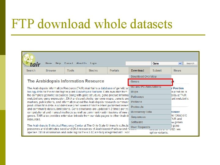 FTP download whole datasets 