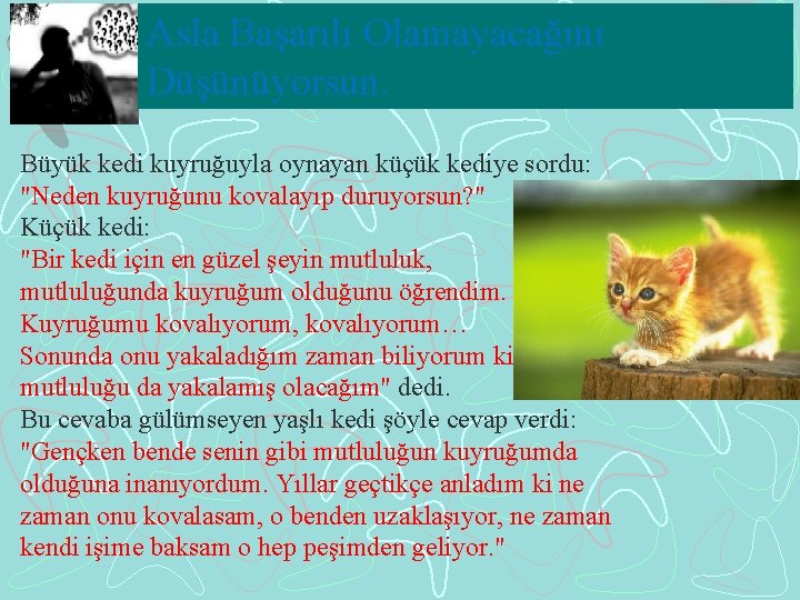 Asla Başarılı Olamayacağını Düşünüyorsun. Büyük kedi kuyruğuyla oynayan küçük kediye sordu: "Neden kuyruğunu kovalayıp