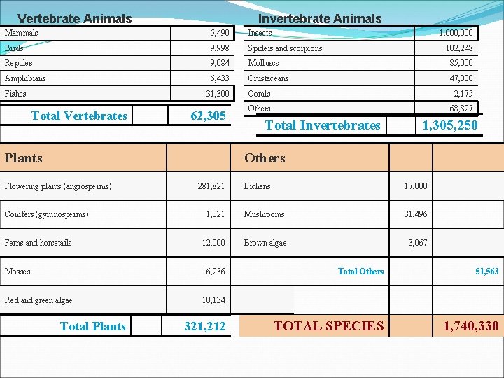 Vertebrate Animals Invertebrate Animals Mammals 5, 490 Insects Birds 9, 998 Spiders and scorpions