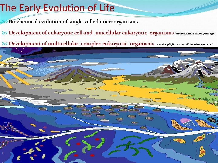 The Early Evolution of Life Biochemical evolution of single-celled microorganisms. Development of eukaryotic cell
