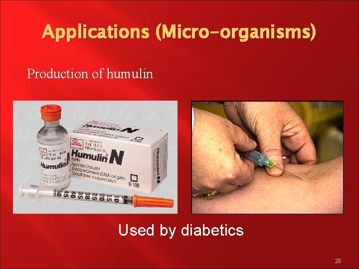 Applications (Micro-organisms) Production of humulin Used by diabetics 28 