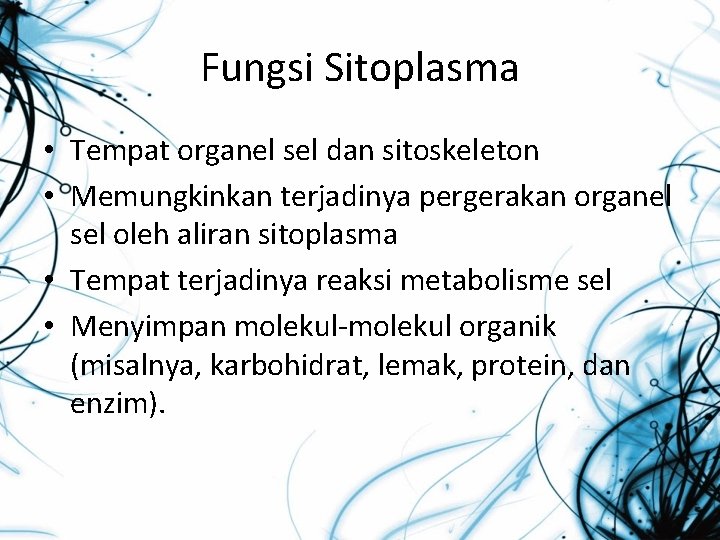 Fungsi Sitoplasma • Tempat organel sel dan sitoskeleton • Memungkinkan terjadinya pergerakan organel sel