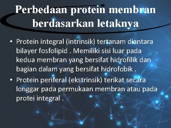 Perbedaan protein membran berdasarkan letaknya • Protein integral (intrinsik) tertanam diantara bilayer fosfolipid. Memiliki