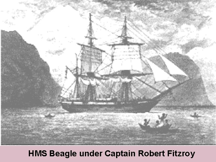 HMS Beagle under Captain Robert Fitzroy 