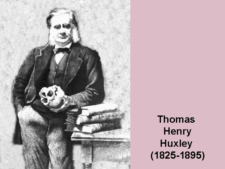 Thomas Henry Huxley (1825 -1895) 