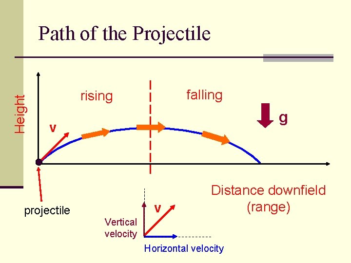 Height Path of the Projectile falling rising g v projectile v Distance downfield (range)