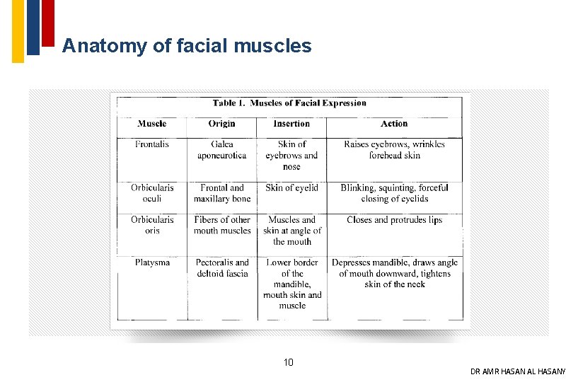 Anatomy of facial muscles 10 DR AMR HASAN AL HASANY 