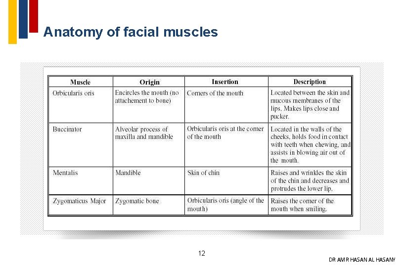 Anatomy of facial muscles 12 DR AMR HASAN AL HASANY 