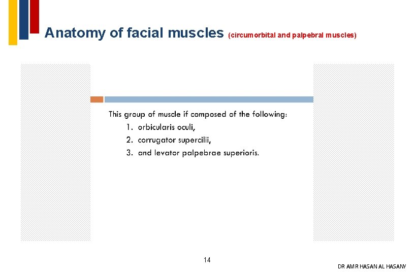 Anatomy of facial muscles (circumorbital and palpebral muscles) 14 DR AMR HASAN AL HASANY