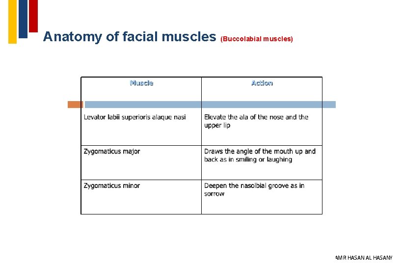 Anatomy of facial muscles (Buccolabial muscles) 21 DR AMR HASAN AL HASANY 