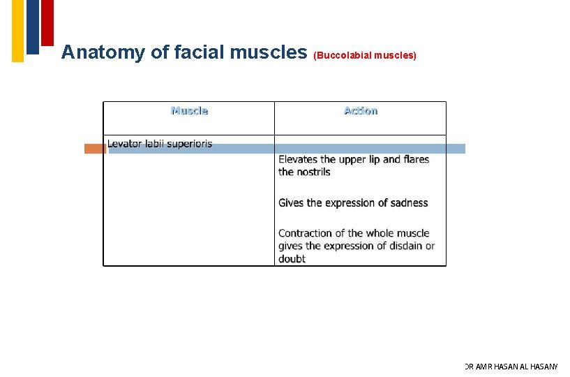 Anatomy of facial muscles (Buccolabial muscles) 22 DR AMR HASAN AL HASANY 