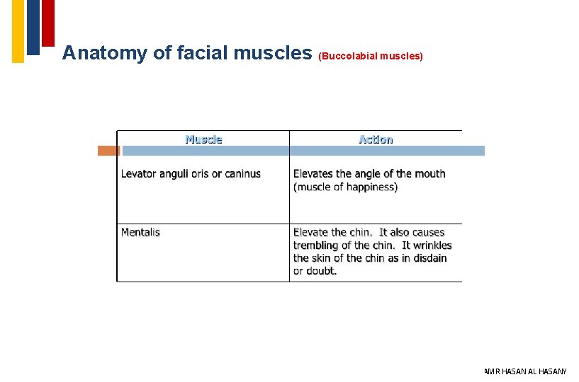 Anatomy of facial muscles (Buccolabial muscles) 23 DR AMR HASAN AL HASANY 