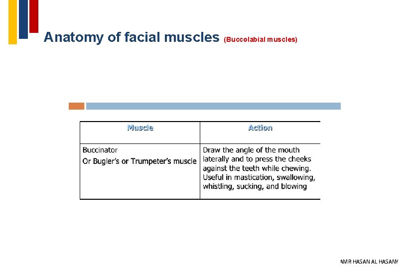 Anatomy of facial muscles (Buccolabial muscles) 25 DR AMR HASAN AL HASANY 