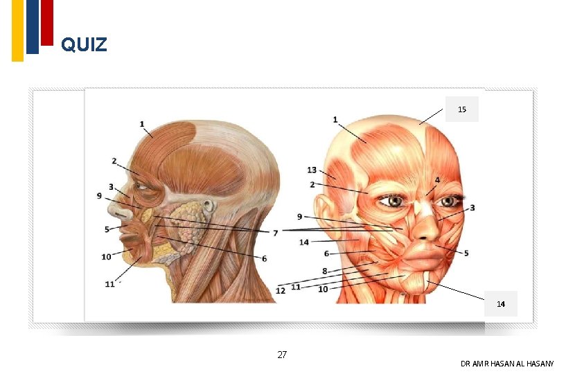 QUIZ 15 14 27 DR AMR HASAN AL HASANY 