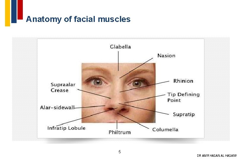 Anatomy of facial muscles 5 DR AMR HASAN AL HASANY 
