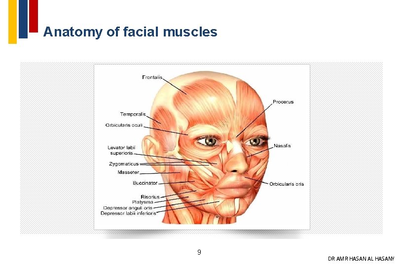Anatomy of facial muscles 9 DR AMR HASAN AL HASANY 