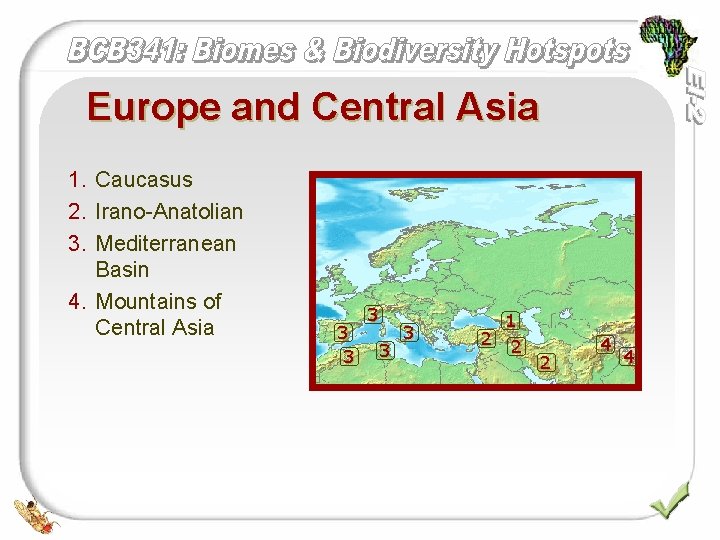 Europe and Central Asia 1. Caucasus 2. Irano-Anatolian 3. Mediterranean Basin 4. Mountains of